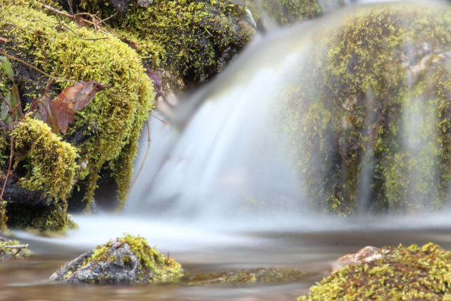 a long exposure of a seasonal stream